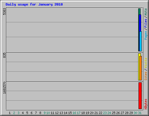 Daily usage for January 2010
