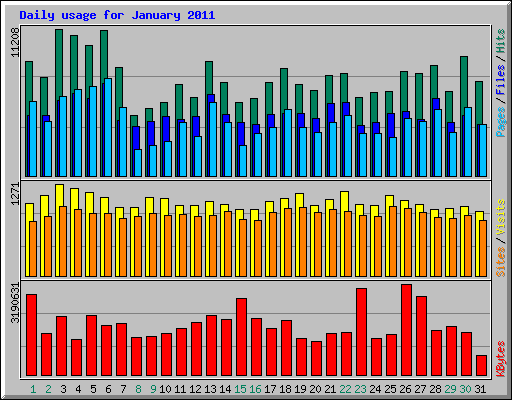 Daily usage for January 2011