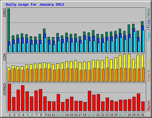 Daily usage for January 2013