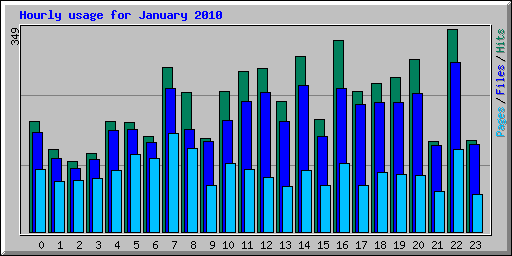Hourly usage for January 2010