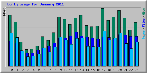 Hourly usage for January 2011