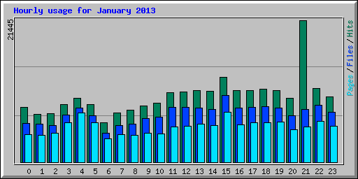 Hourly usage for January 2013