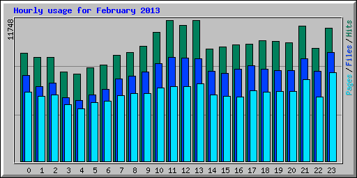 Hourly usage for February 2013
