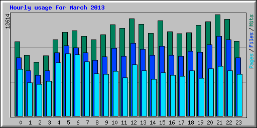 Hourly usage for March 2013